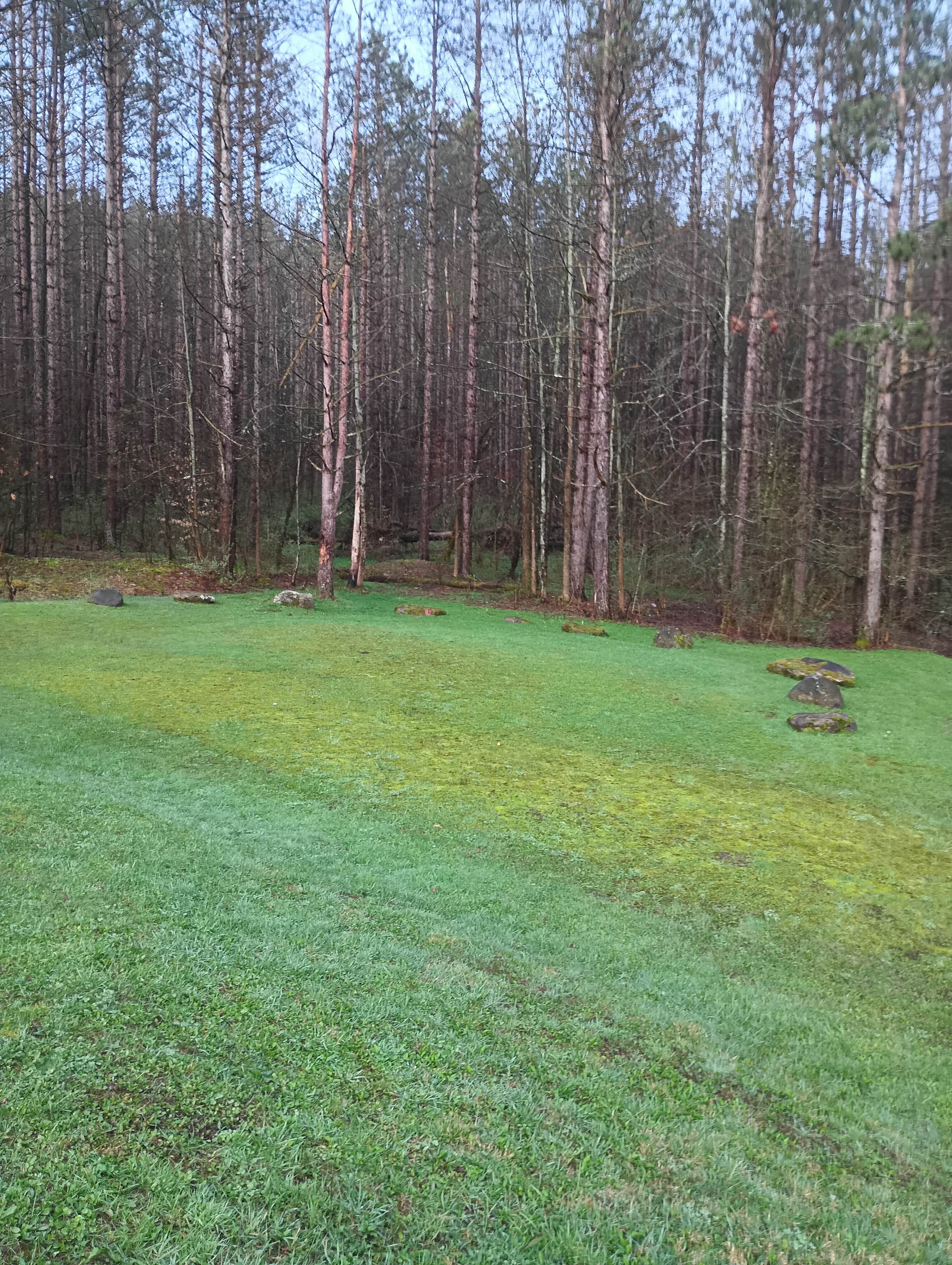 Camper-submitted photo at Windfall Ponds near Springville, NY