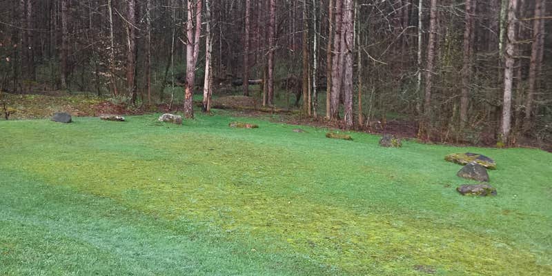 Camper submitted image from Windfall Ponds