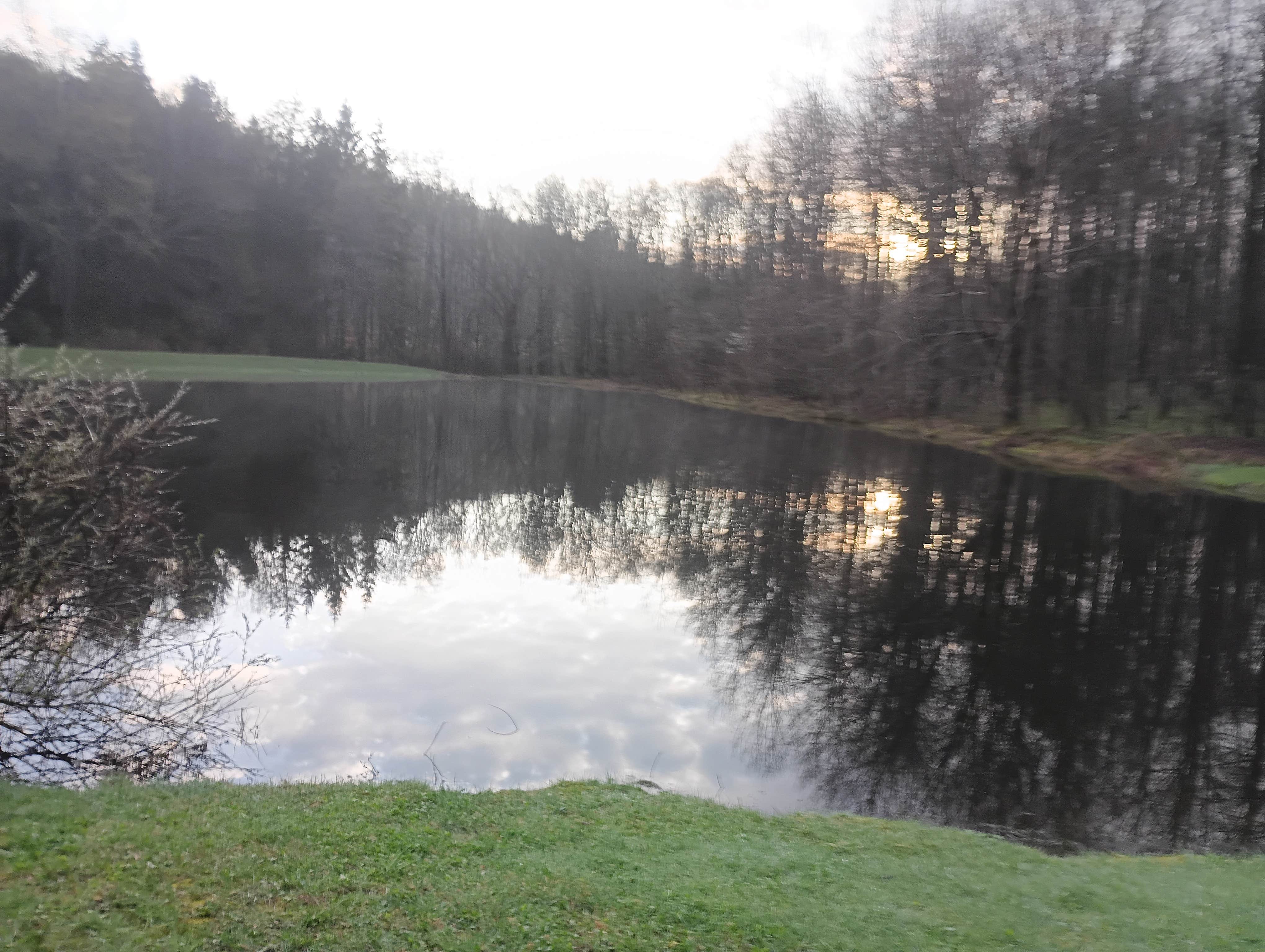 Camper-submitted photo at Windfall Ponds near Springville, NY