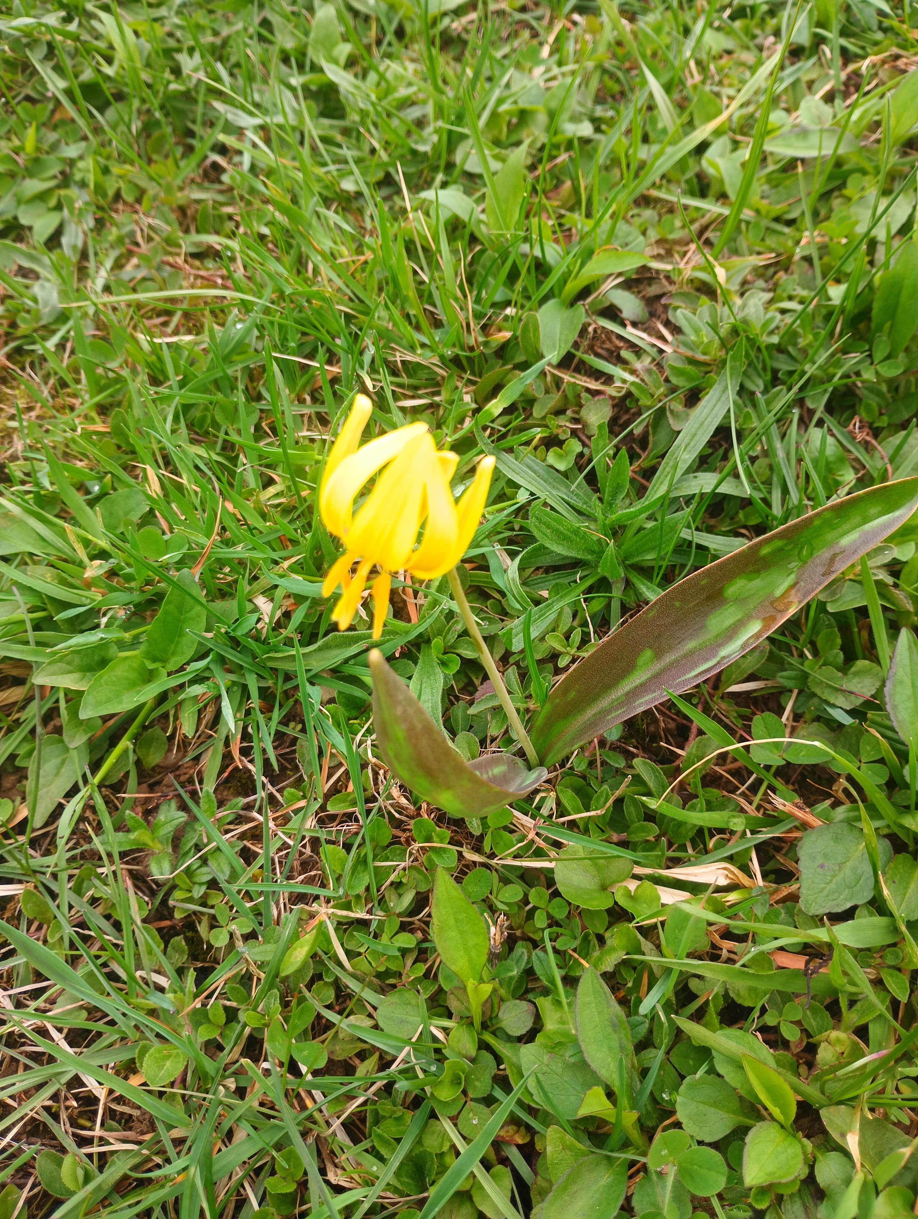 Camper-submitted photo at Windfall Ponds near Springville, NY