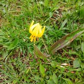 Review photo of Windfall Ponds by Marlena R., April 18, 2026