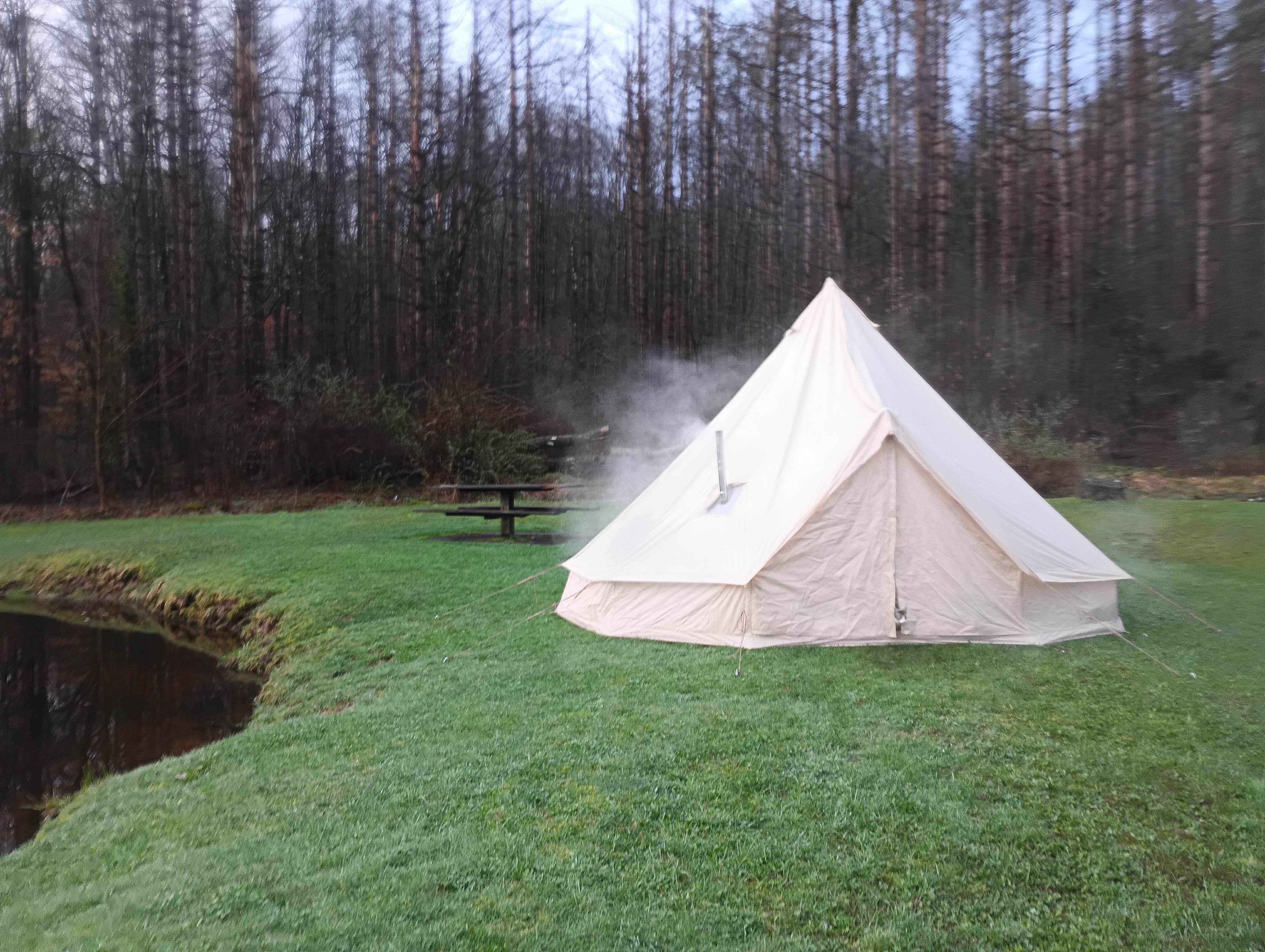 Camper-submitted photo at Windfall Ponds near Springville, NY