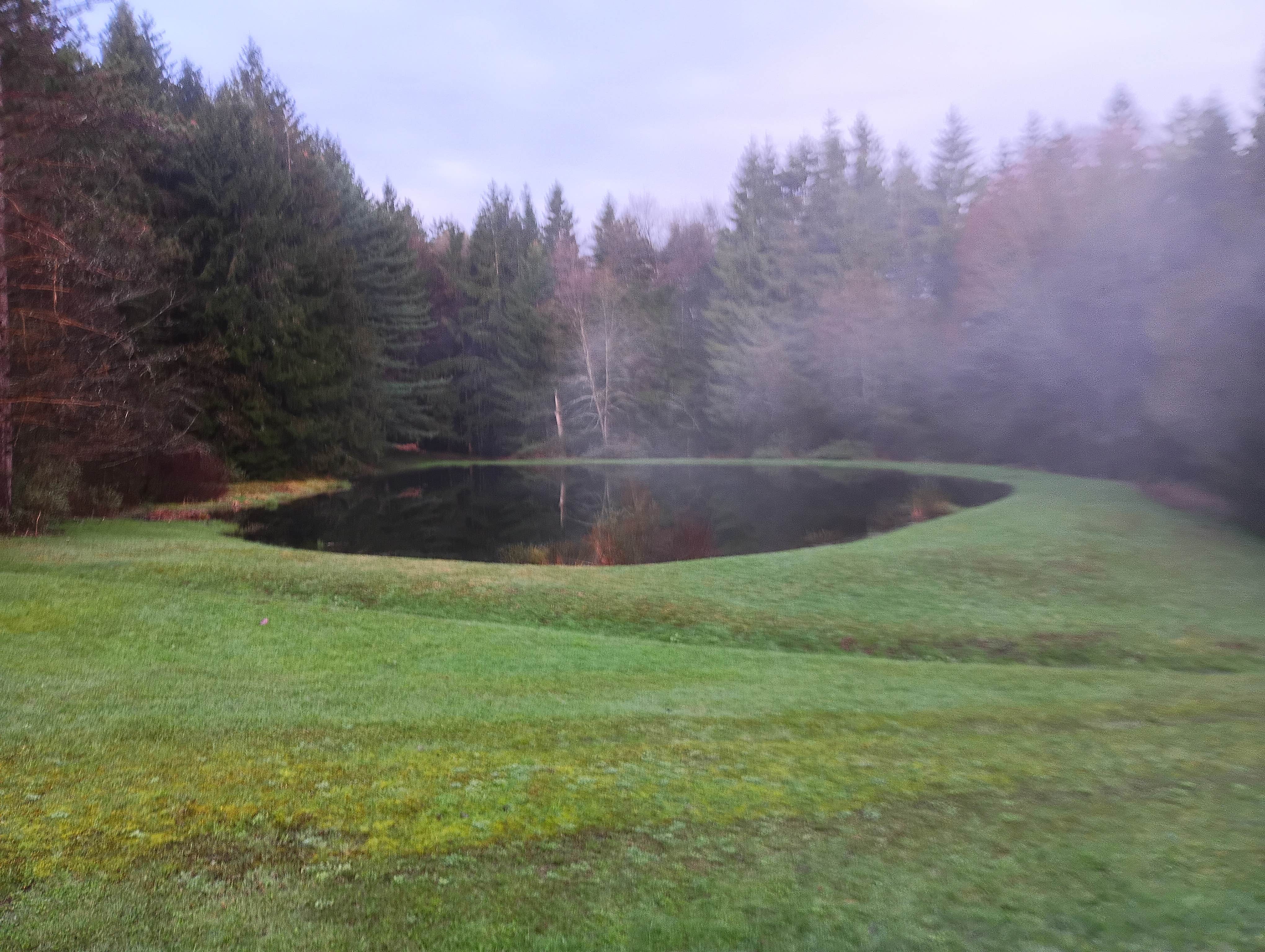 Camper-submitted photo at Windfall Ponds near Springville, NY