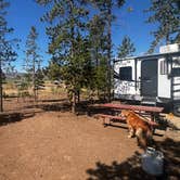 Review photo of Winding River Resort by Karlee F., July 23, 2026