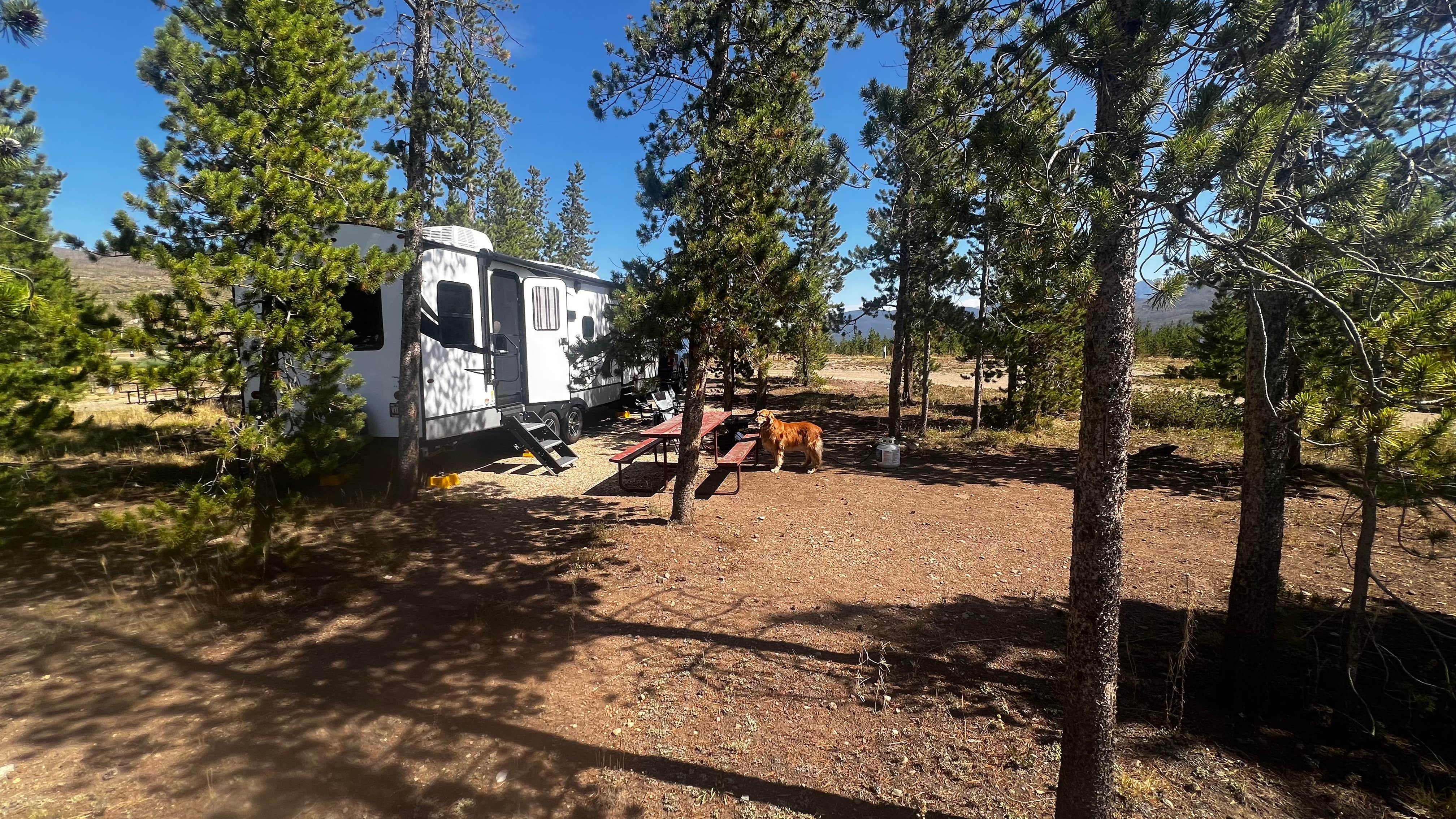 Karlee F.'s photo of camping with pets at Winding River Resort near Grand Lake, CO