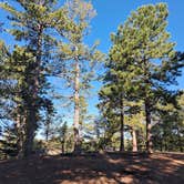Review photo of Winding Stairs Road Dispersed Site by Amari D., June 7, 2025