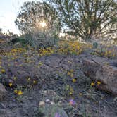 Review photo of Windmill Camp by Andrew B., October 22, 2025