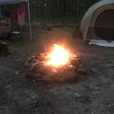 Review photo of Windmill Hill - Connecticut White Memorial Campground by Sara R., August 4, 2024