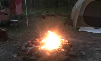 Sara R.'s photo at Windmill Hill - Connecticut White Memorial Campground near Ansonia, CT
