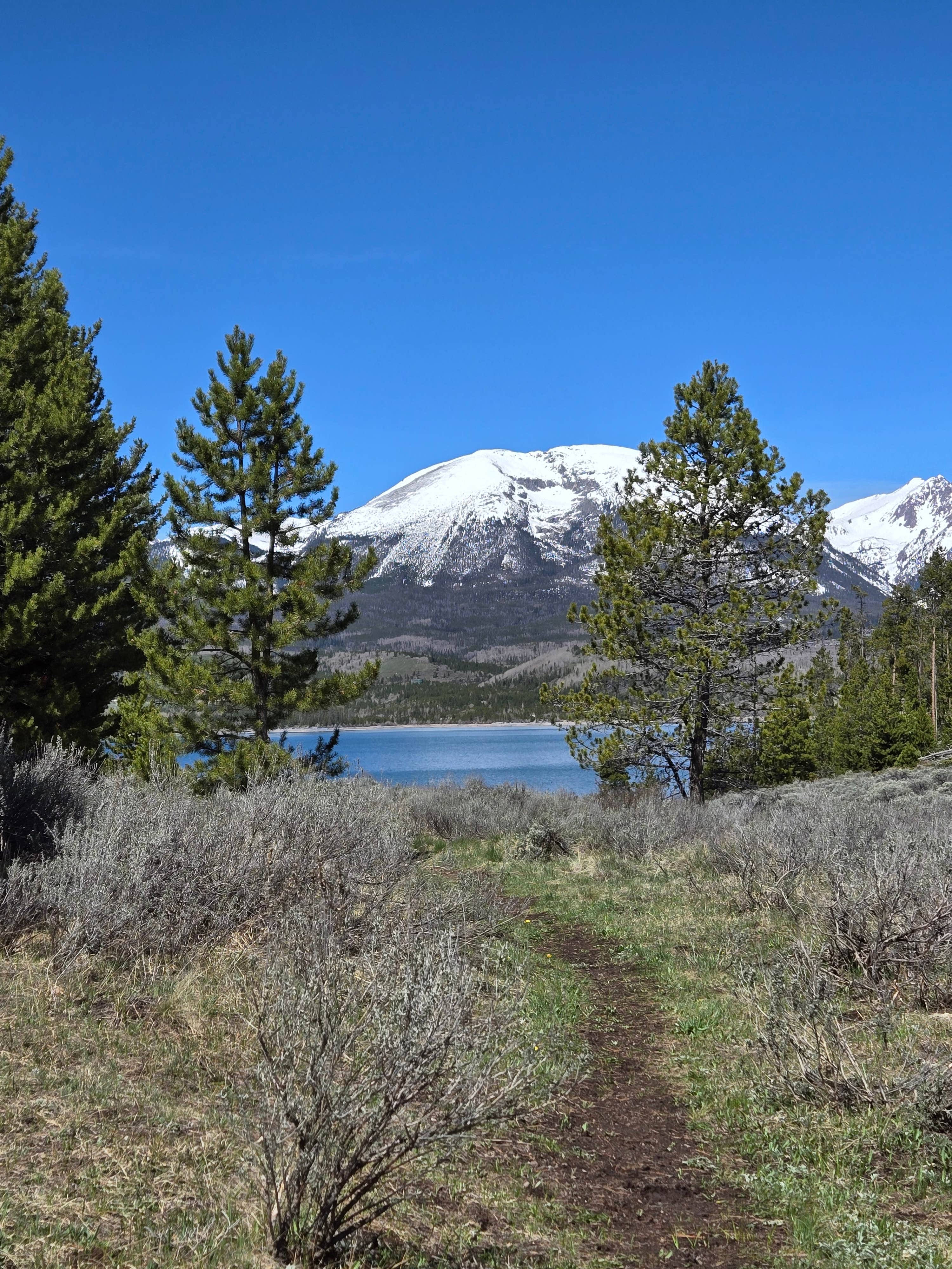Camper-submitted photo at Windy Point Site near White River National Forest