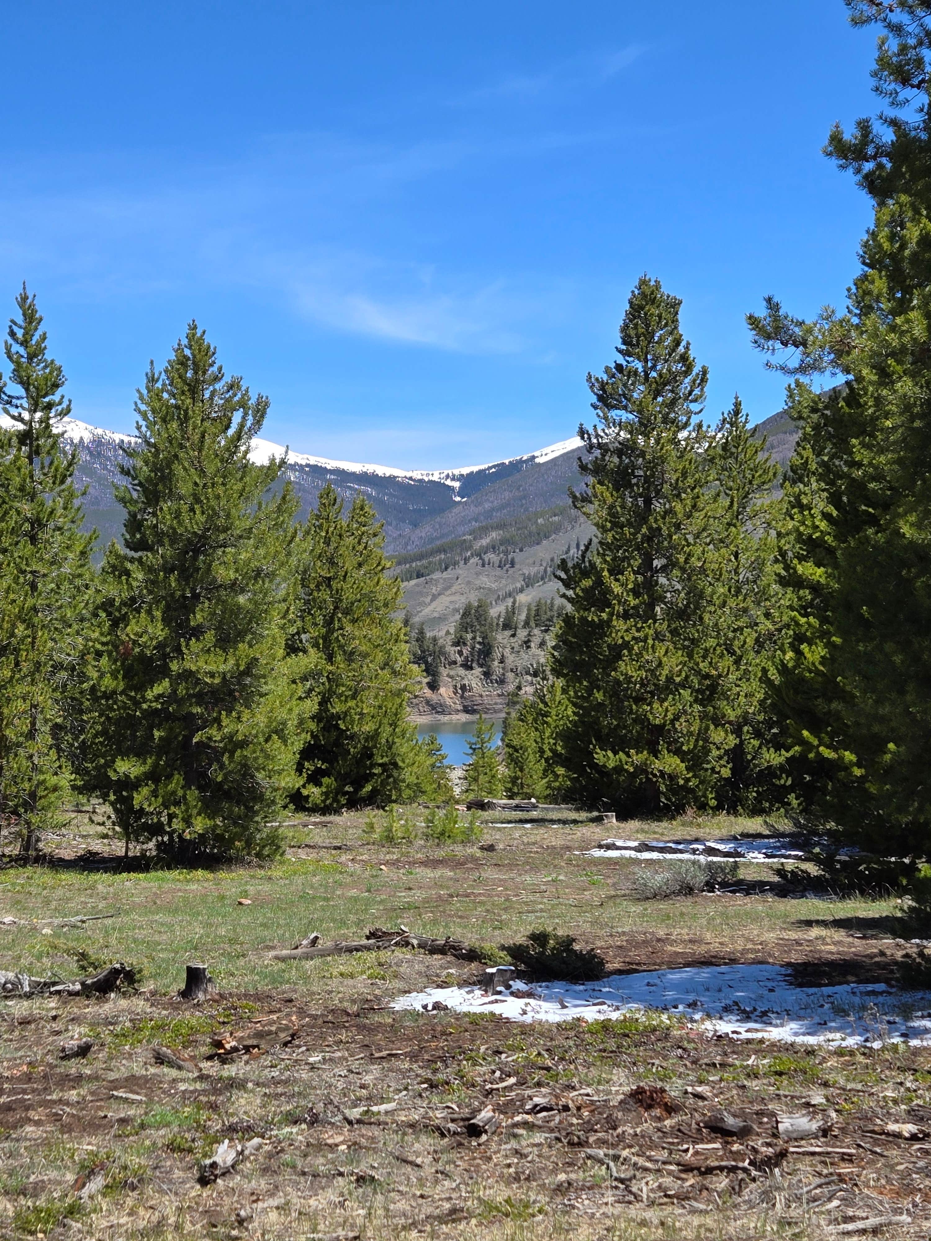 Camper-submitted photo at Windy Point Site near White River National Forest
