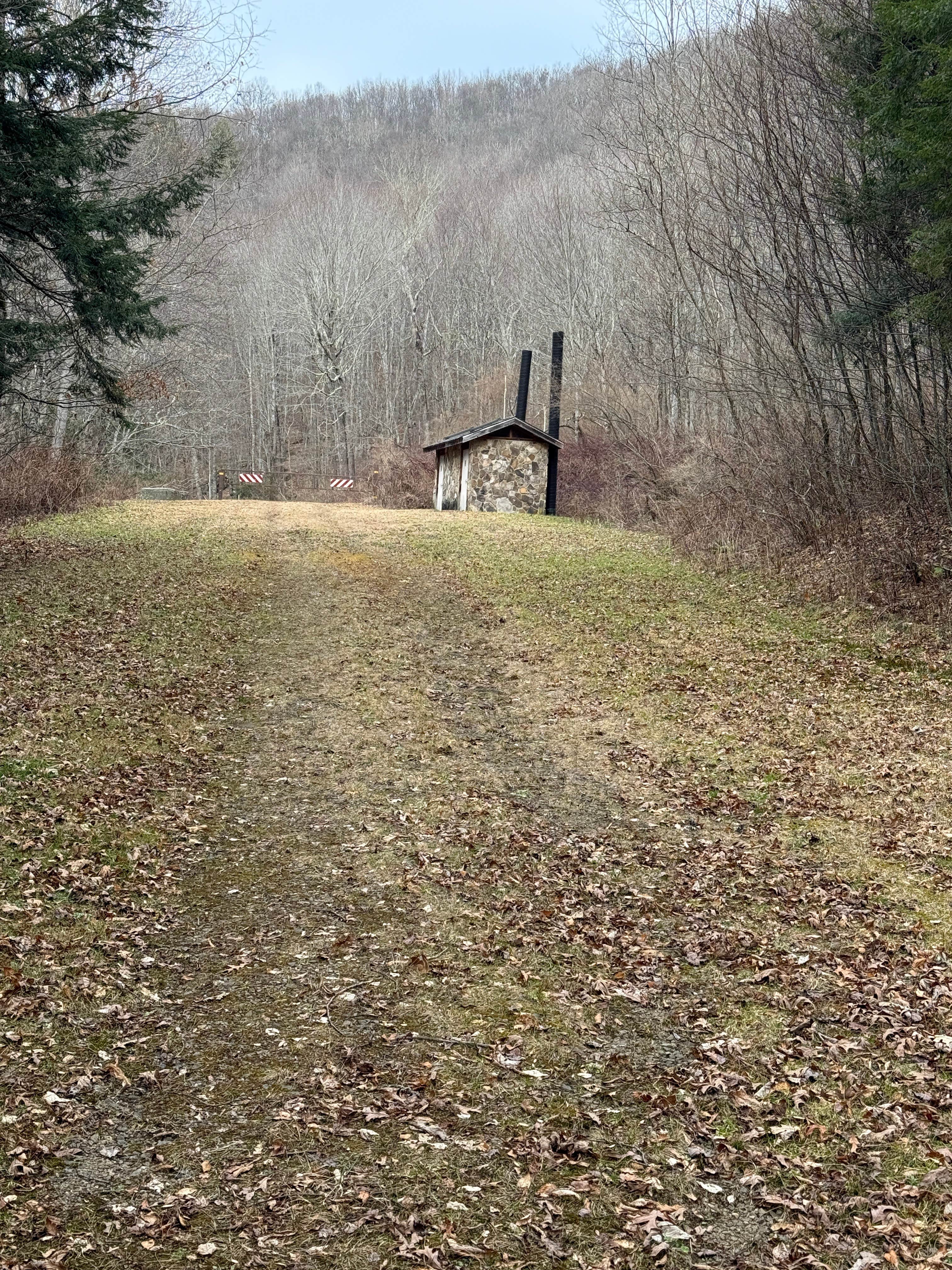 Camper submitted image from Wine Spring Horse Camp - 3