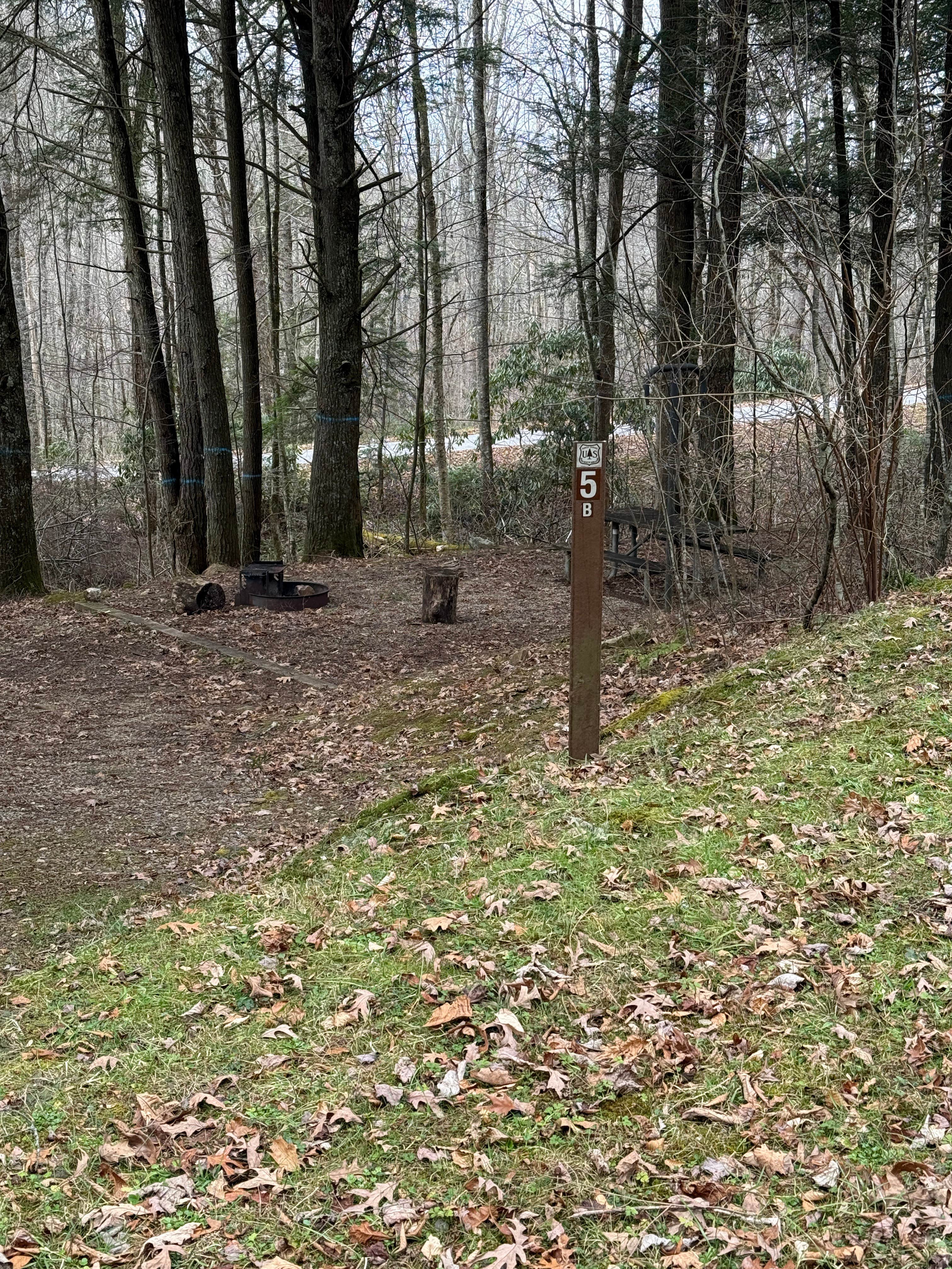 Camper submitted image from Wine Spring Horse Camp - 2