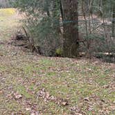 Review photo of Wine Spring Horse Camp by Howard C., January 10, 2026