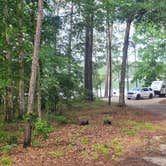 Review photo of Winfield - J Strom Thurmond Lake by Greg S., June 18, 2024