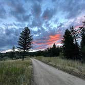 Review photo of Winiger Ridge at Gross Reservoir by Amanda R., July 13, 2025