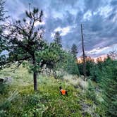 Review photo of Winiger Ridge at Gross Reservoir by Amanda R., July 13, 2025