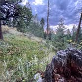 Review photo of Winiger Ridge at Gross Reservoir by Amanda R., July 13, 2025