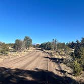 Review photo of Winona Dispersed Camping by Alex A., May 9, 2025