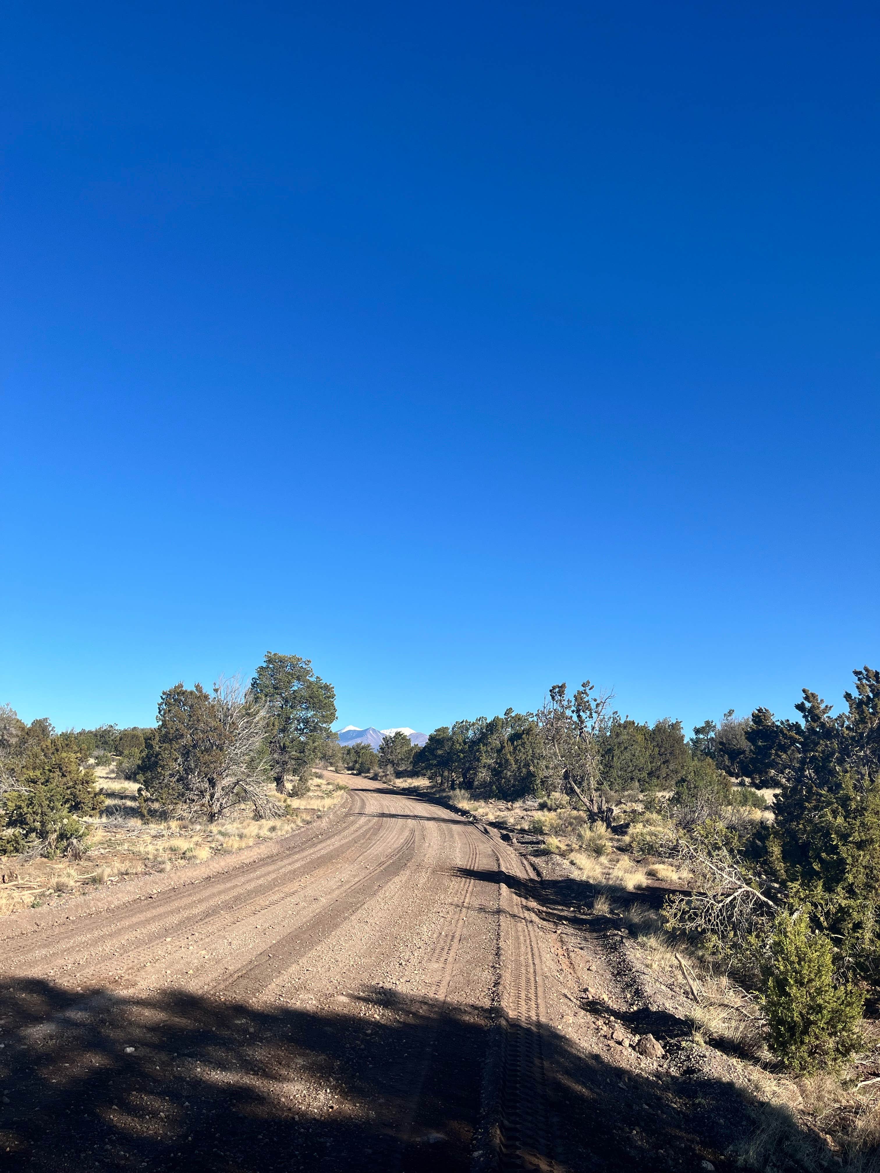 Camper submitted image from Winona Dispersed Camping - 2
