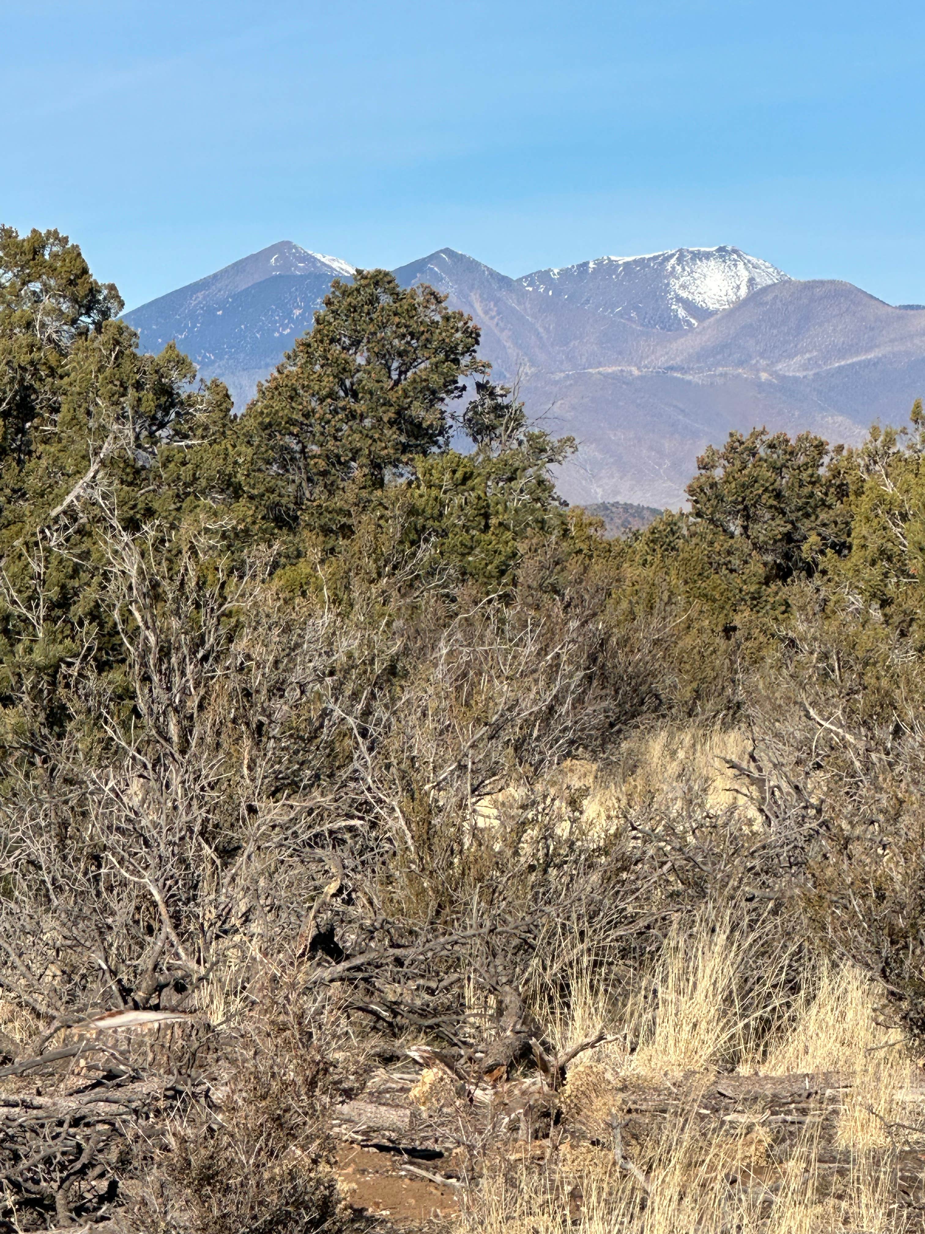 Camping near Walnut Canyon USFS Dispersed Camping: Winona Dispersed Camping, Flagstaff, Arizona