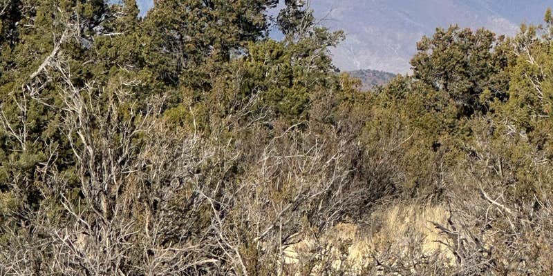 Camper submitted image from Winona Dispersed Camping