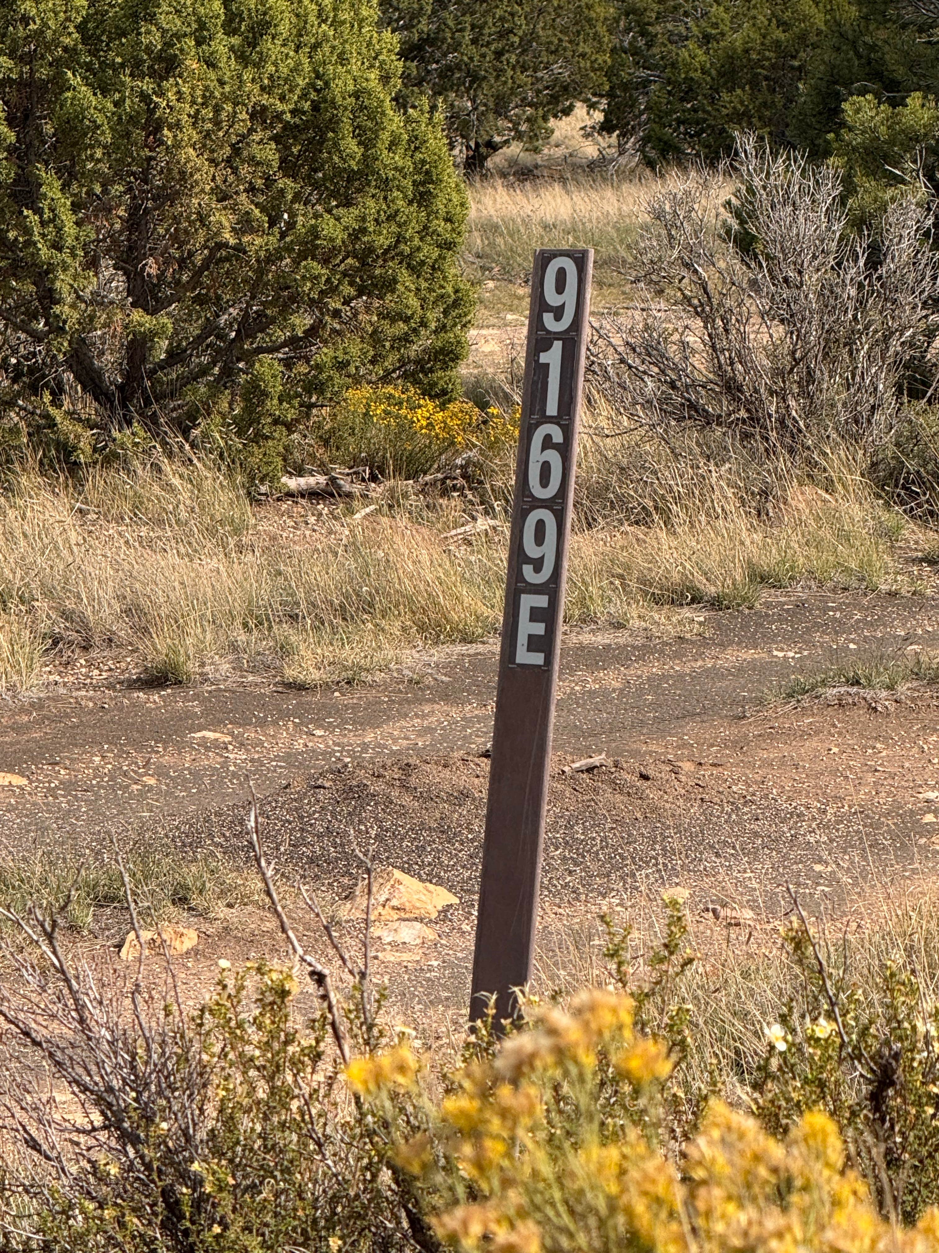 Camper-submitted photo at Winona Dispersed Camping near Leupp, AZ