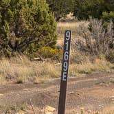 Review photo of Winona Dispersed Camping by Craig R., October 8, 2025