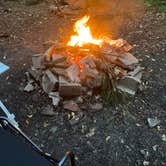 Review photo of Winona State Forest by Leighla S., July 16, 2026