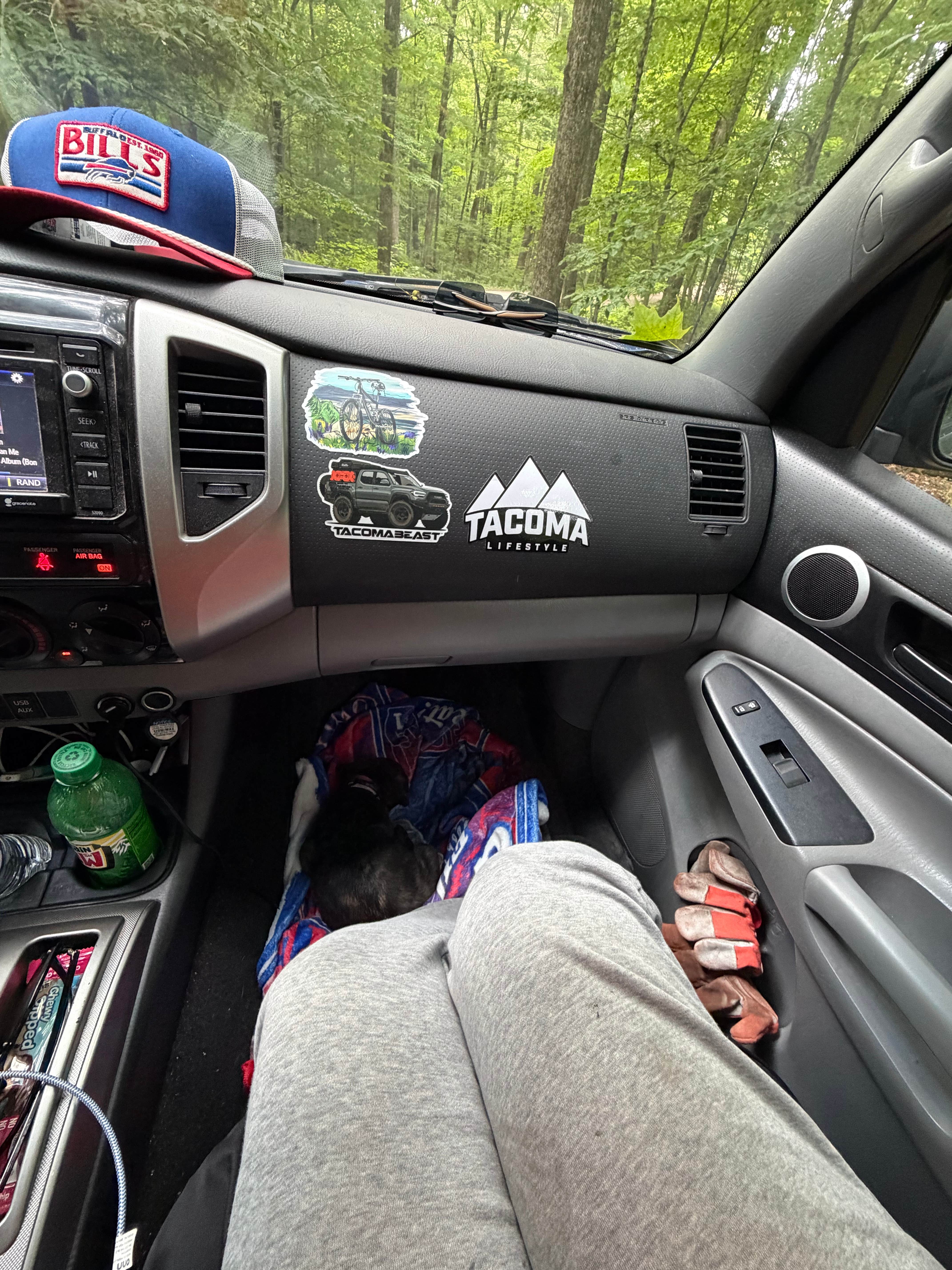 Camper-submitted photo at Winona State Forest near Altmar, NY