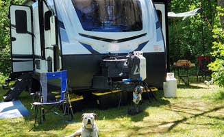 Christopher  S.'s photo of camping with pets at Winslow Park And Campground near Brunswick, ME