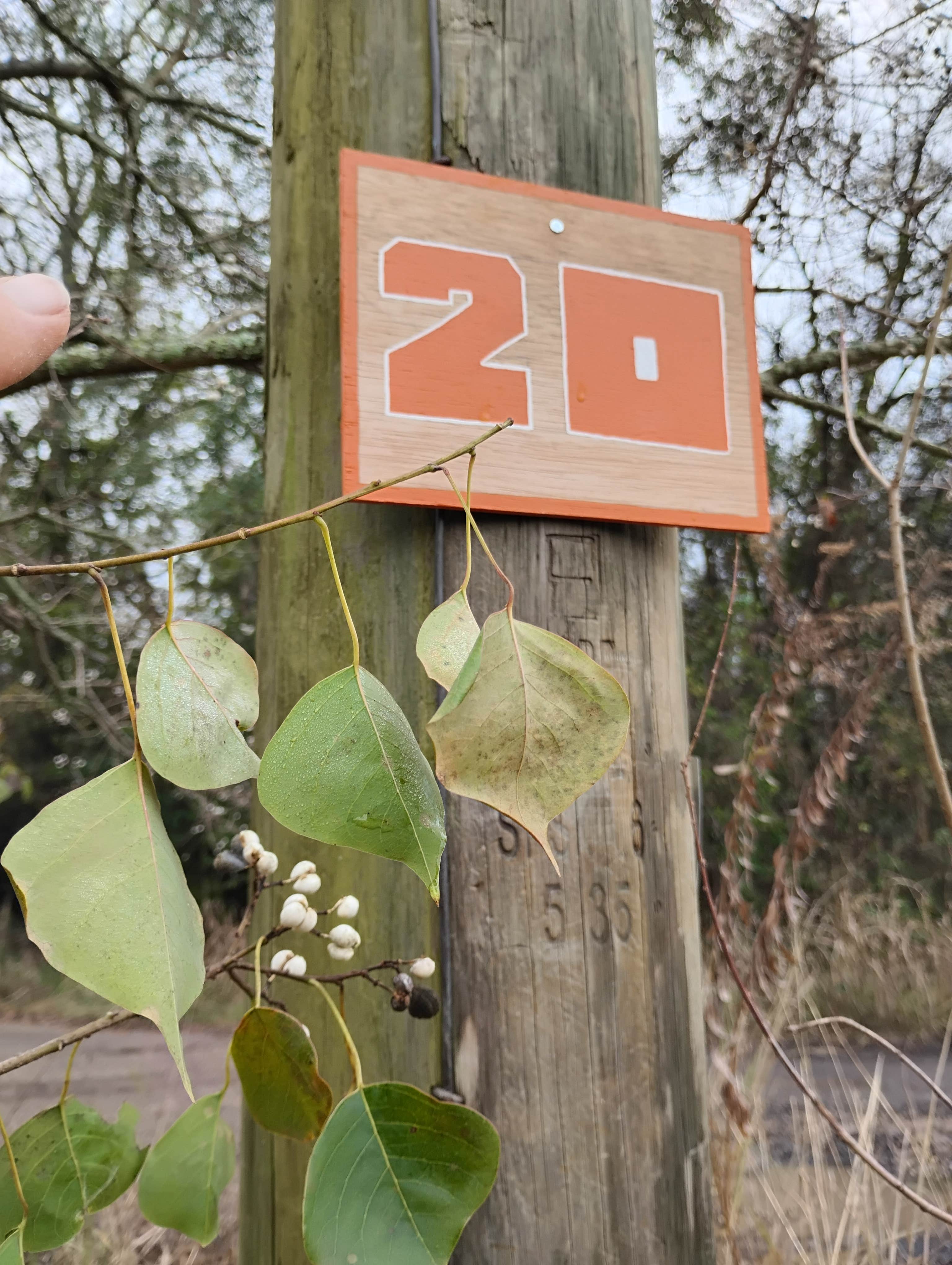 Camper-submitted photo at Winter Camping @ Southern Breeze Campground near Arkansas River - Wilbur D. Mills Pool