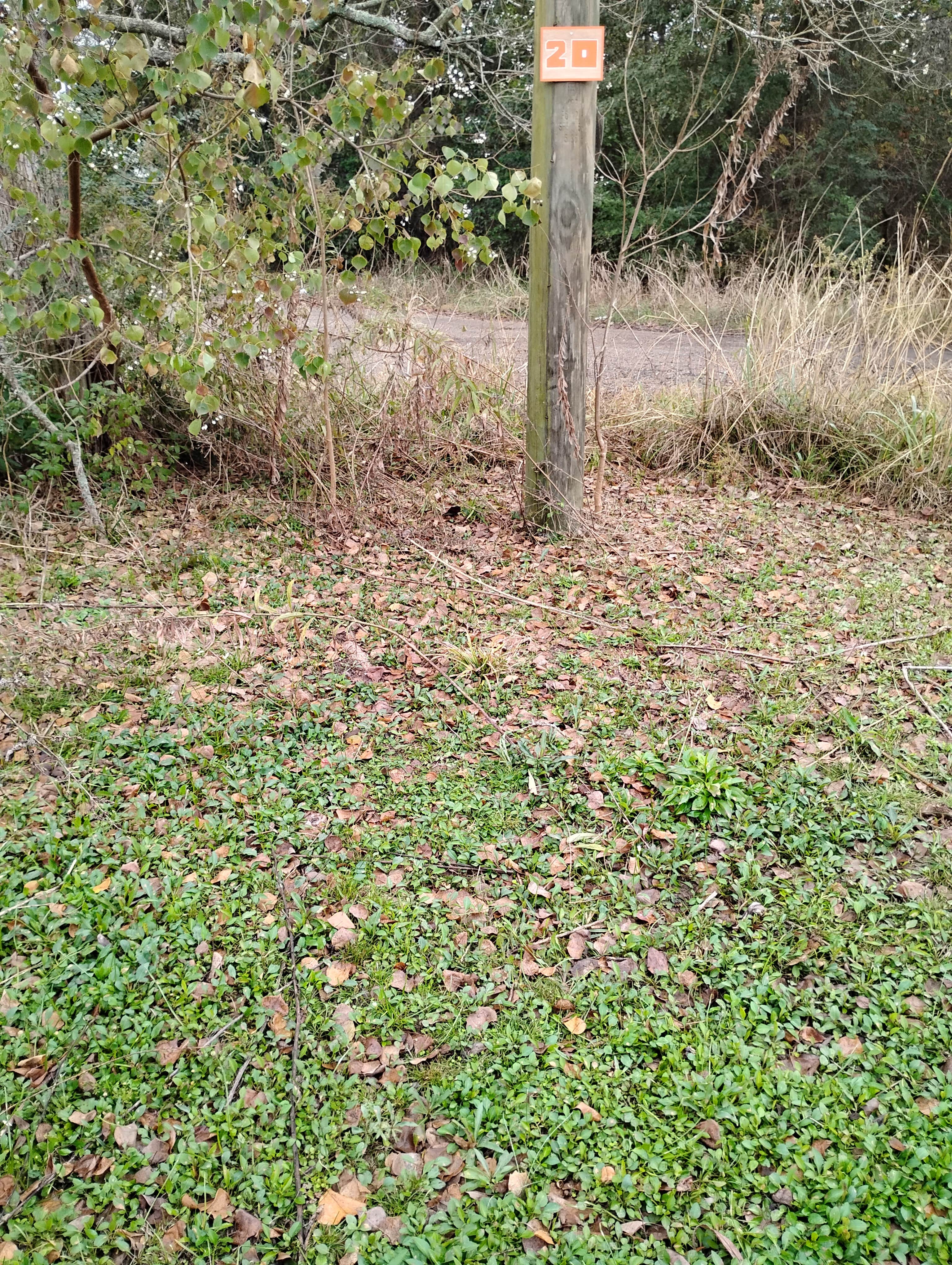 Camper-submitted photo at Winter Camping @ Southern Breeze Campground near Arkansas River - Wilbur D. Mills Pool