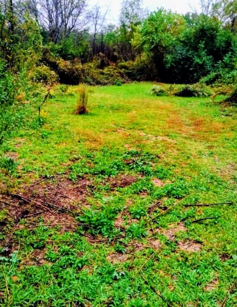 Camping near Wilbur D. Mills: Winter Camping @ Southern Breeze Campground, Lake Village, Arkansas