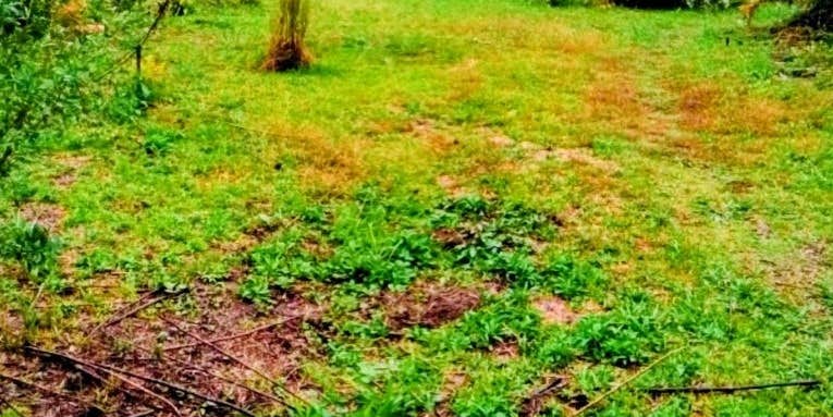 Camper submitted image from Winter Camping @ Southern Breeze Campground