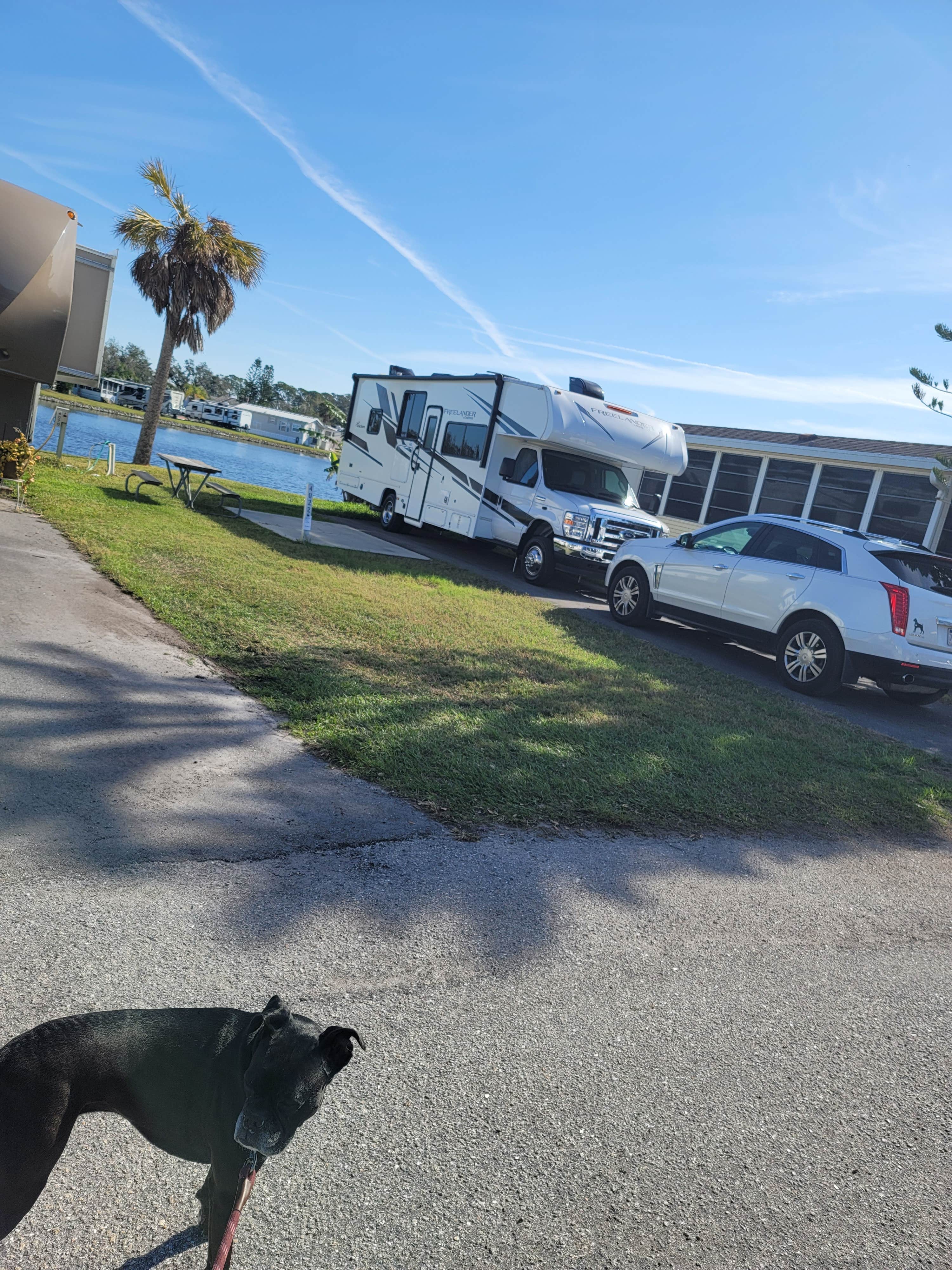 Millie D.'s photo of rv camping at Encore Winter Quarters Manatee near Dover, FL