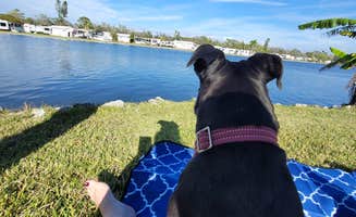 Millie D.'s photo of camping with pets at Encore Winter Quarters Manatee near St. Petersburg, FL