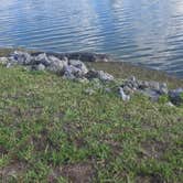 Review photo of Encore Winter Quarters Manatee by Rachel C., May 16, 2025