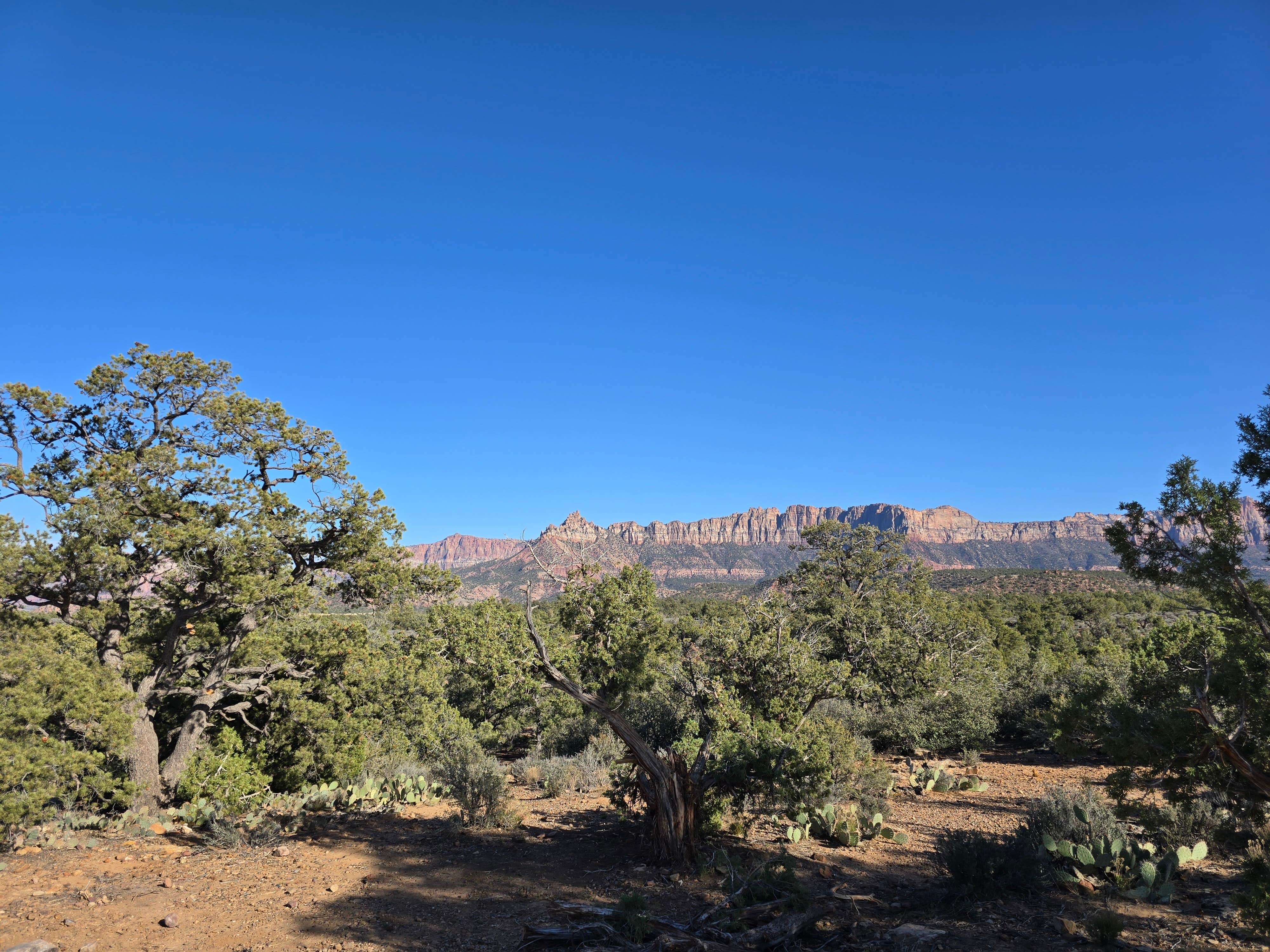 Camper-submitted photo at Wire Mesa near Colorado City, AZ