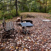 Review photo of Amnicon Falls State Park Campground by juliana , October 8, 2023