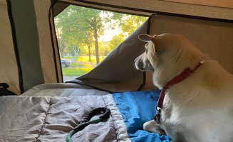 Kay K.'s photo at Astico County Park near Horicon, WI