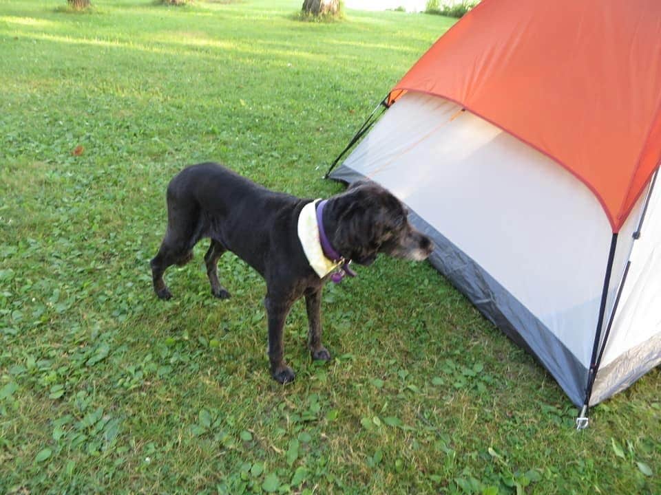 Camper-submitted photo at Astico County Park near Sun Prairie, WI