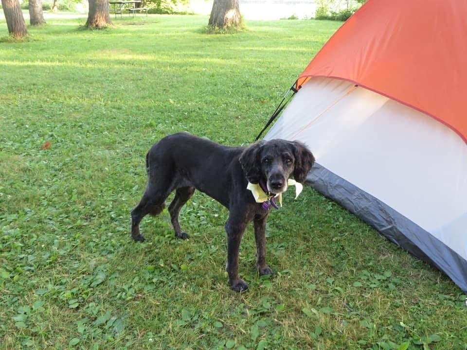 Camper-submitted photo at Astico County Park near Sun Prairie, WI