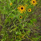 Review photo of Astico County Park by Sabrina W., June 23, 2026