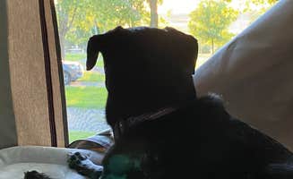 Kay K.'s photo of camping with pets at Astico County Park near Beaver Dam, WI