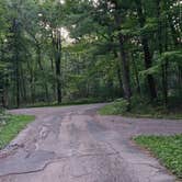 Review photo of Castle Mound Campground — Black River State Forest by Jennifer K., August 28, 2025