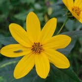 Review photo of Castle Mound Campground — Black River State Forest by Jennifer K., August 28, 2025