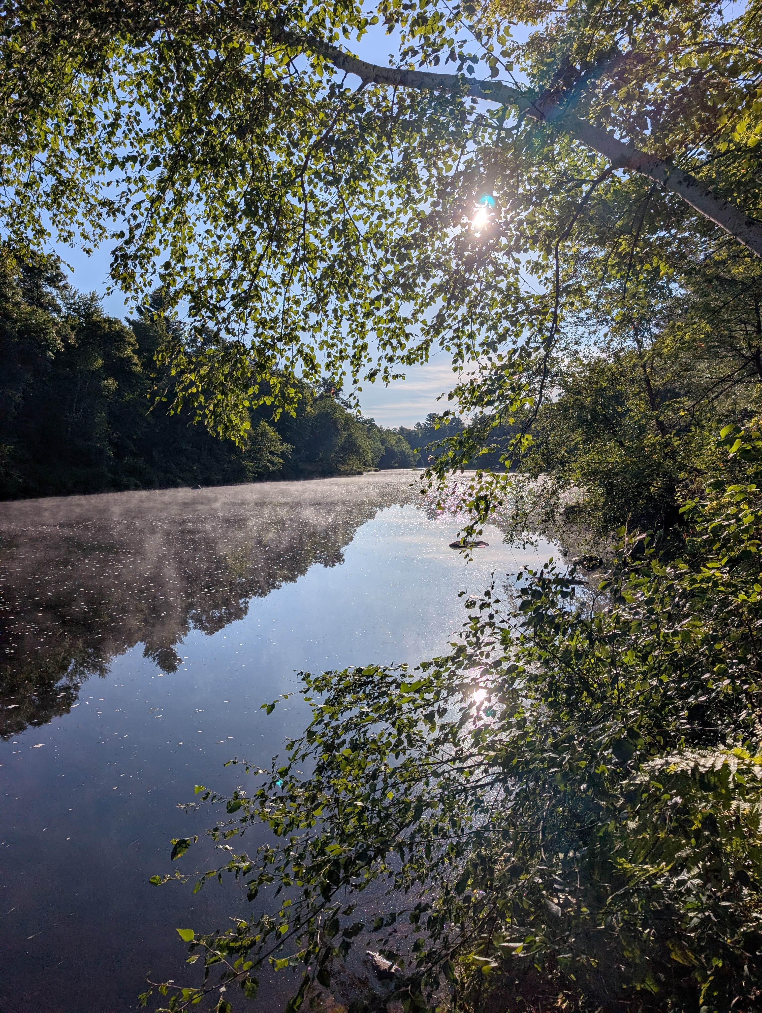 Camper-submitted photo at East Fork Campground near Black River Falls, WI