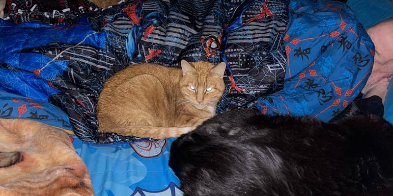 Camper submitted image from Blackhawk Memorial Park