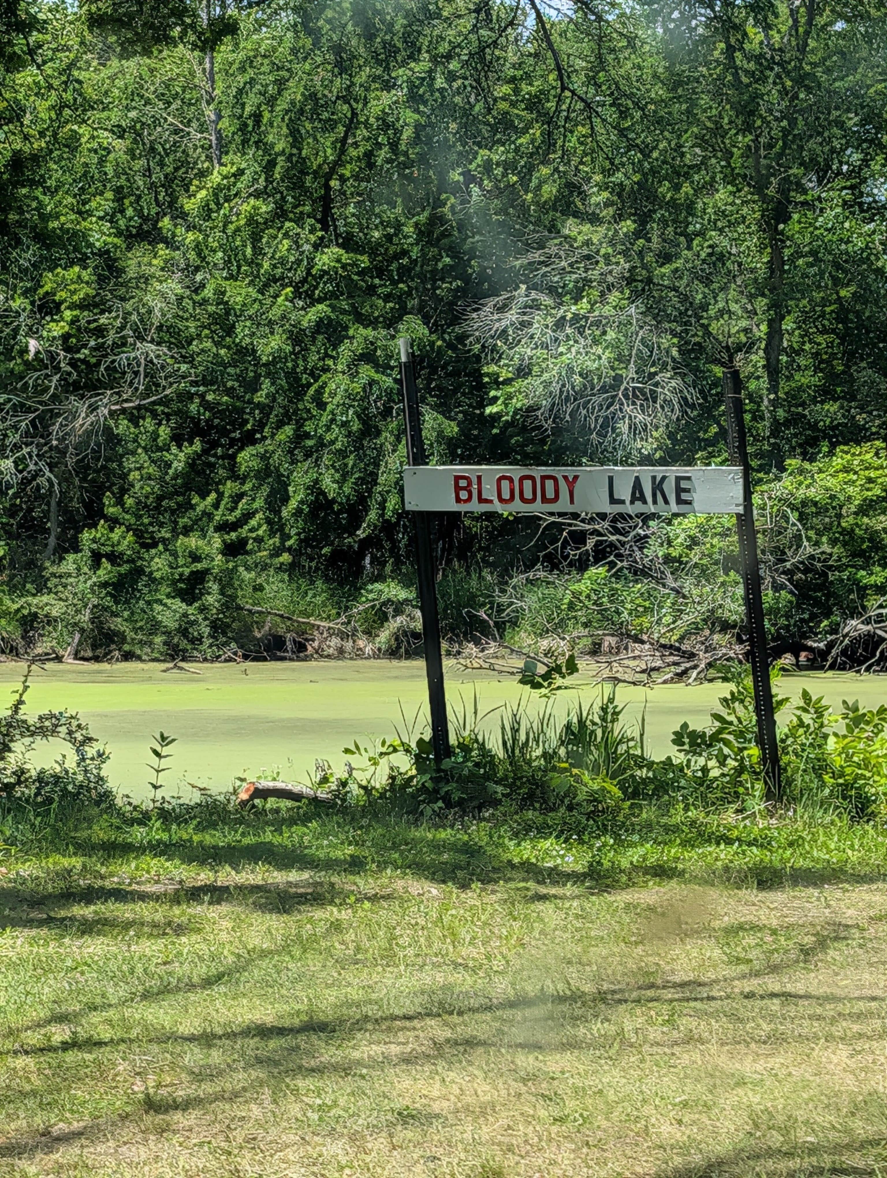Camper-submitted photo at Blackhawk Memorial Park near Monticello, WI